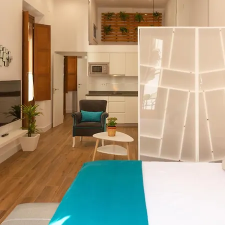Aia Loft Bibrambla-3